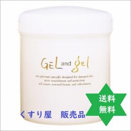 ゲル&ゲルS 500g1個・レターパックプラス送込/(株)ピュア