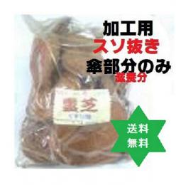 レイシ500g(傘の部分スソ無100%)・税送込/製造用・霊芝・安価