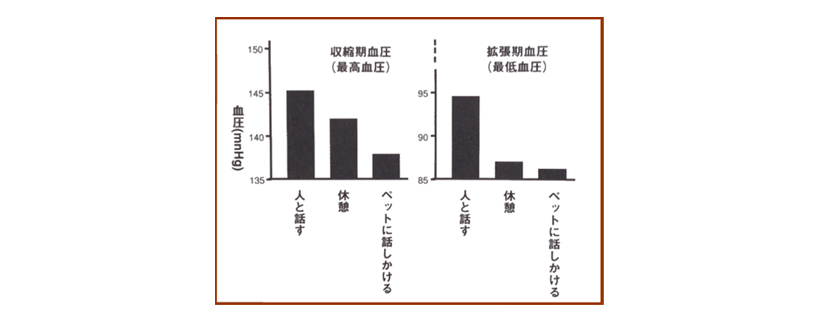 ペット 販売済み セラピー 効果