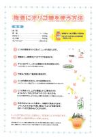 蜂蜜ライチ200g5本セット● 純粋蜂蜜・送料当店負担/(株)マルミ